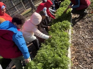 Hands on gardening